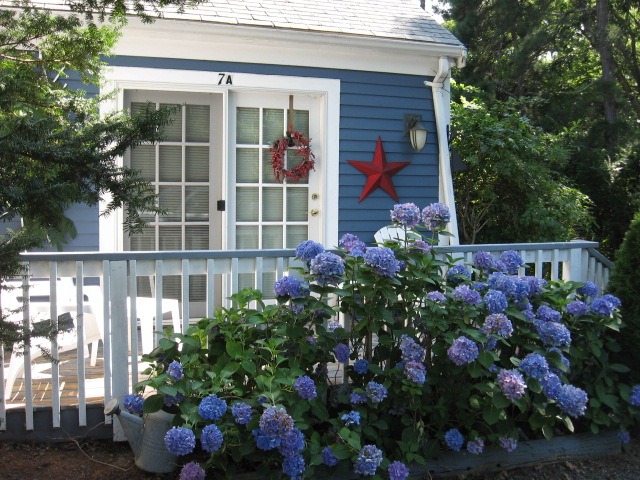 Cape Cod Cottages Cape Cod Usa Real Estate