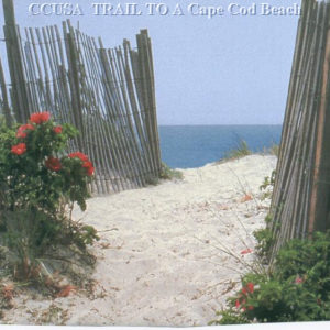 Cape Cod Beaches Cape Cod Beaches