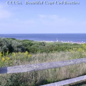 Cape Cod Beach 90 Cape Cod Beach 90