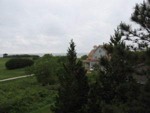 Picture 022