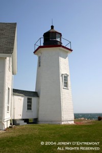 wingsneck light house #6