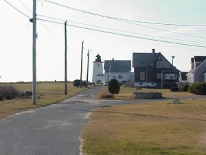 wingsneck lighthouse #10