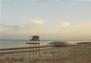 COTUIT Loop Beach