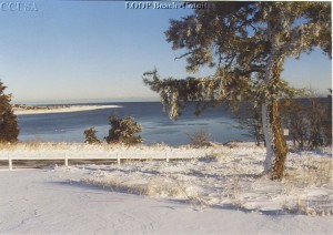 COTUIT Loop Beach Bluff