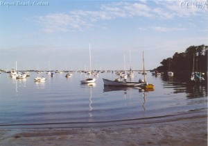 COTUIT Ropes Beach