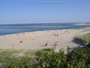 Chatham Beach Web