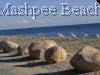 MASHPEE Town Beach