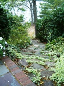 Steps to Beach