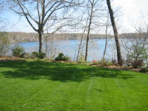 pond view