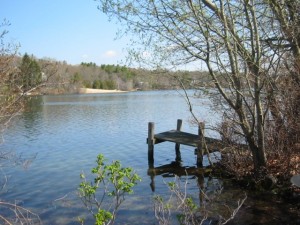 pond view jenkins