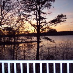 ###11 view from deck
