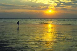 BeachSunset