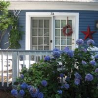 Cape Cod Rentals