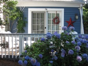 Ocean Front Rental on Cape Cod