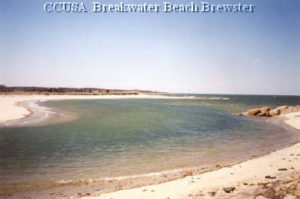 BREWSTER Breakwater Beach