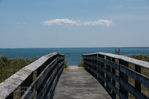 South-Cape-Beach-Boardwalk