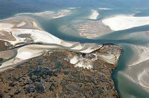 nauset marsh