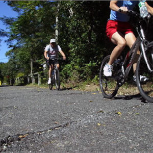20 – Cape Cod Rail trail 20 - Cape Cod Rail Trail