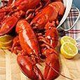 more lobsters by the bucket