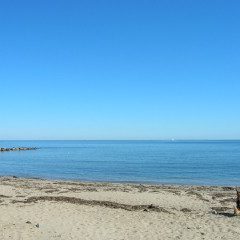 TOWN NECK BEACH Sandwich #100