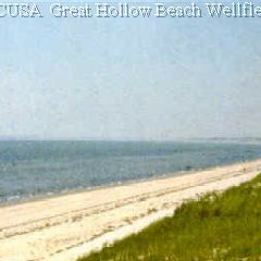 TRURO Great Hollow Beach
