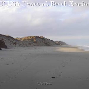 WELLFLEET Newcomb Hollow Beach
