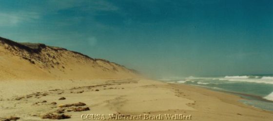 WELLFLEET Whitecrest Beach