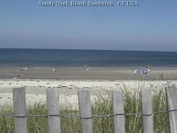 perfect-day-sandwich-part-12-15