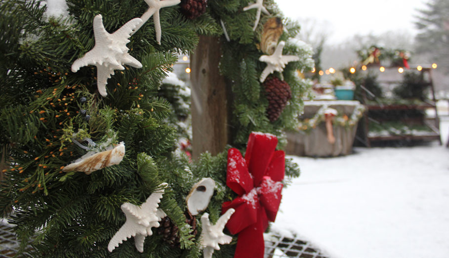 Christmas on Cape Cod