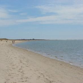 Chatham Summer Rental