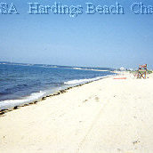 Hardings Beach