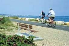 bike the cape cod coast this summer