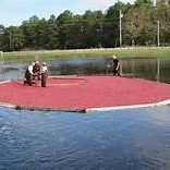 cranberry bogs- -water picking