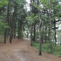 Hiking & Biking Guide to Cape Cod