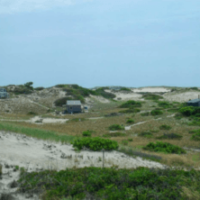 A Living History: The Provincetown Dune Shacks