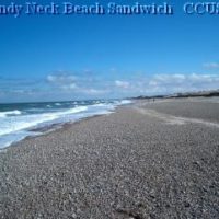 Circle By The Sea Returning To Sandy Neck