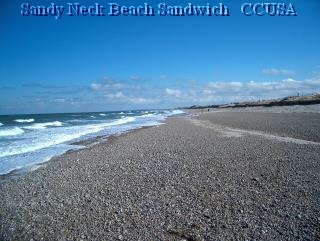 SANDWICH Sandy Neck Beach 1