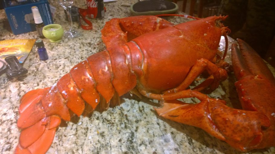 #4 Lobster 2018 Birthday